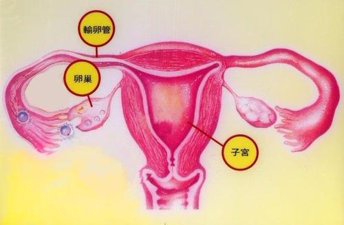咸阳女性患子宫内膜癌可以治好吗