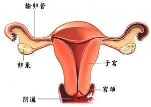 导致咸阳妇女卵巢囊肿的原因
