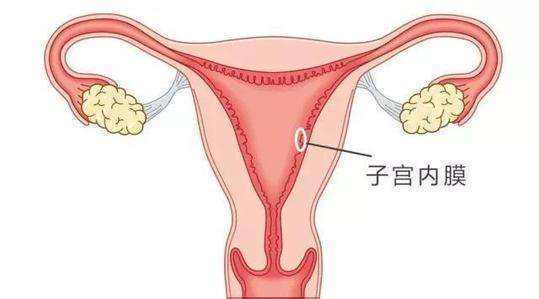 咸阳妇女得子宫内膜炎的症状是什么