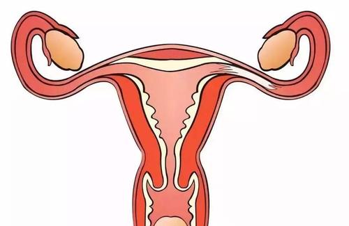 咸阳妇女输卵管炎症会导致不孕吗